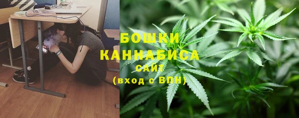 шишки Алексеевка