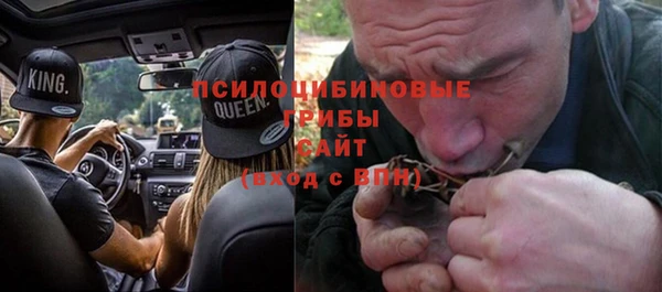 шишки Алексеевка