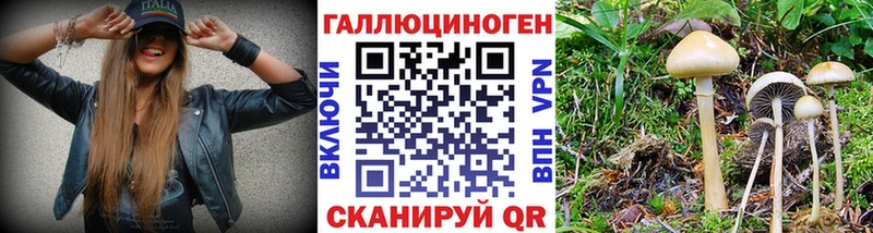 кракен ТОР  Харовск  Галлюциногенные грибы мухоморы 